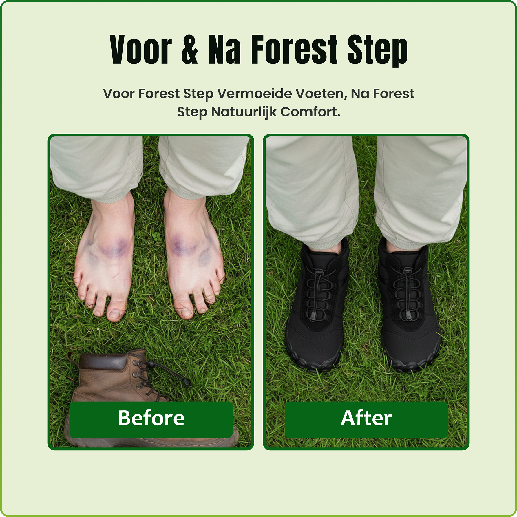 Forest Step - Polar Comfort