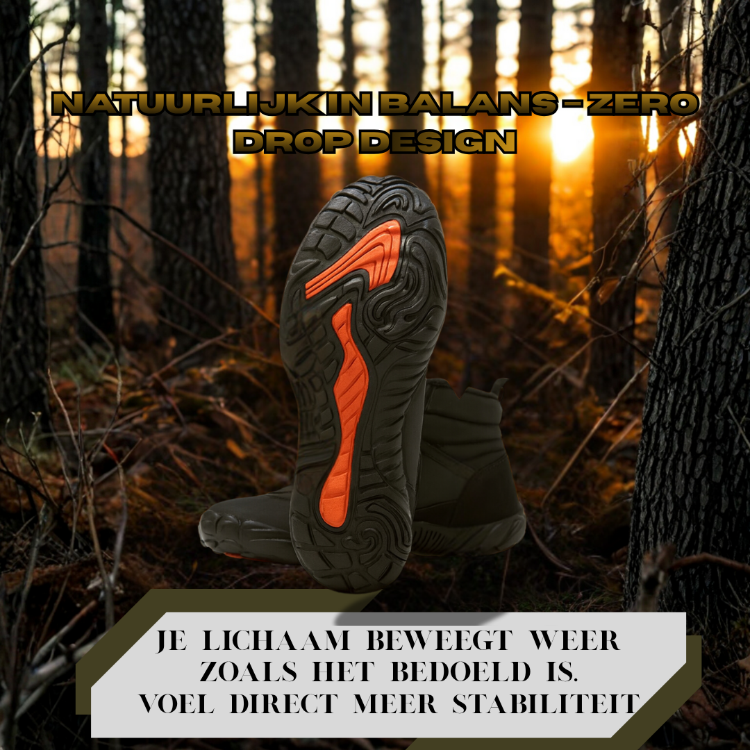 Forest Step - Polar Comfort