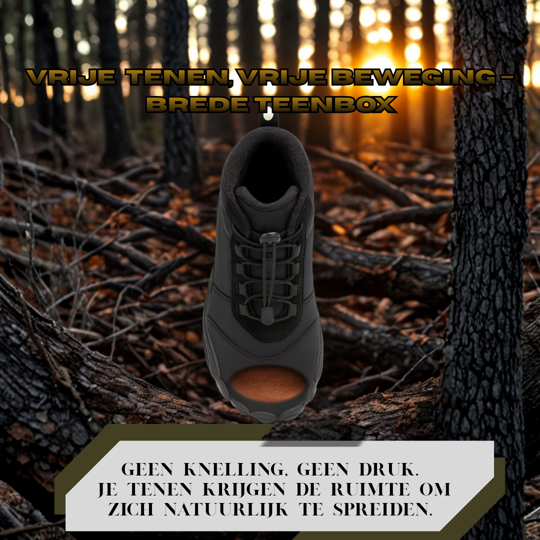 Forest Step - Polar Comfort