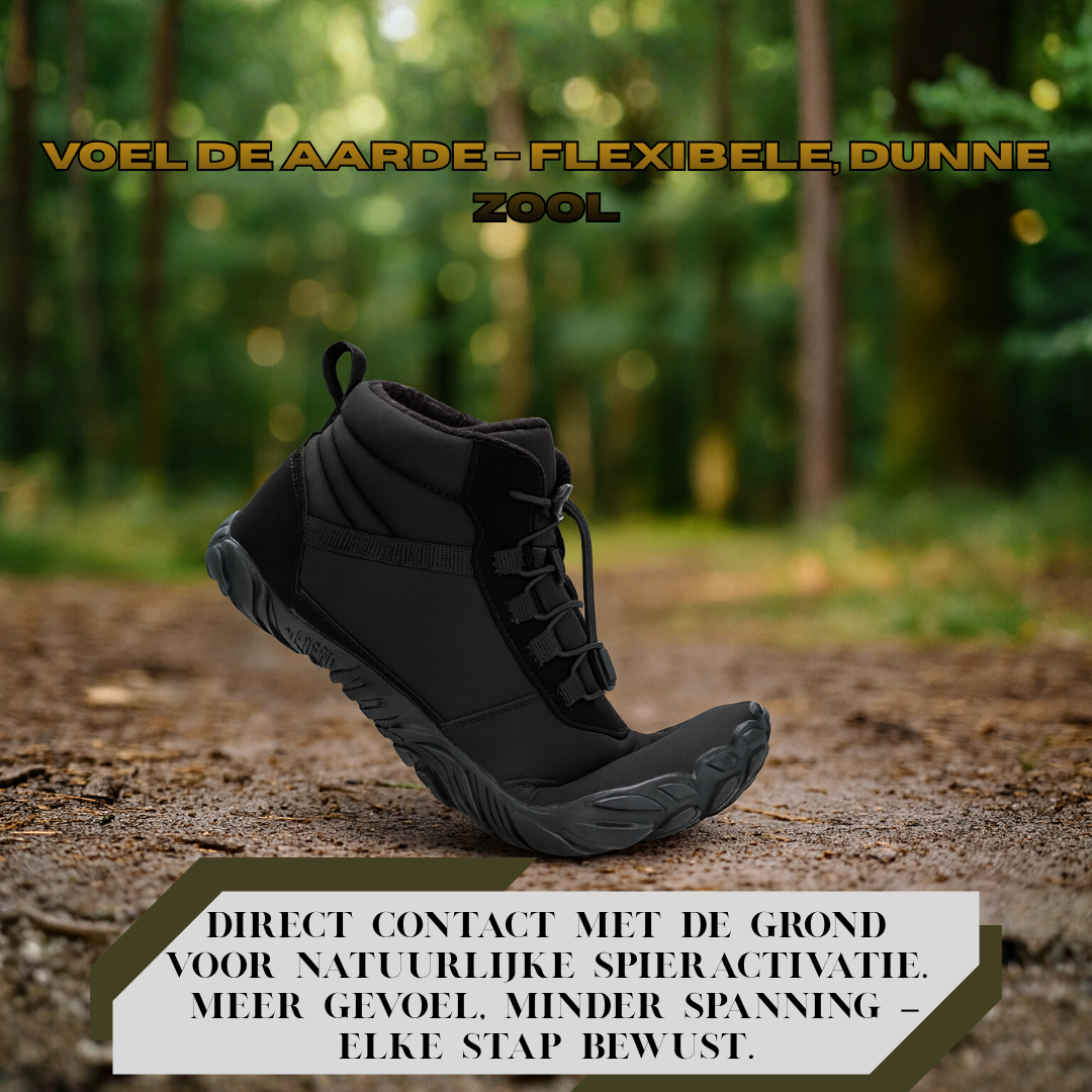 Forest Step - Polar Comfort