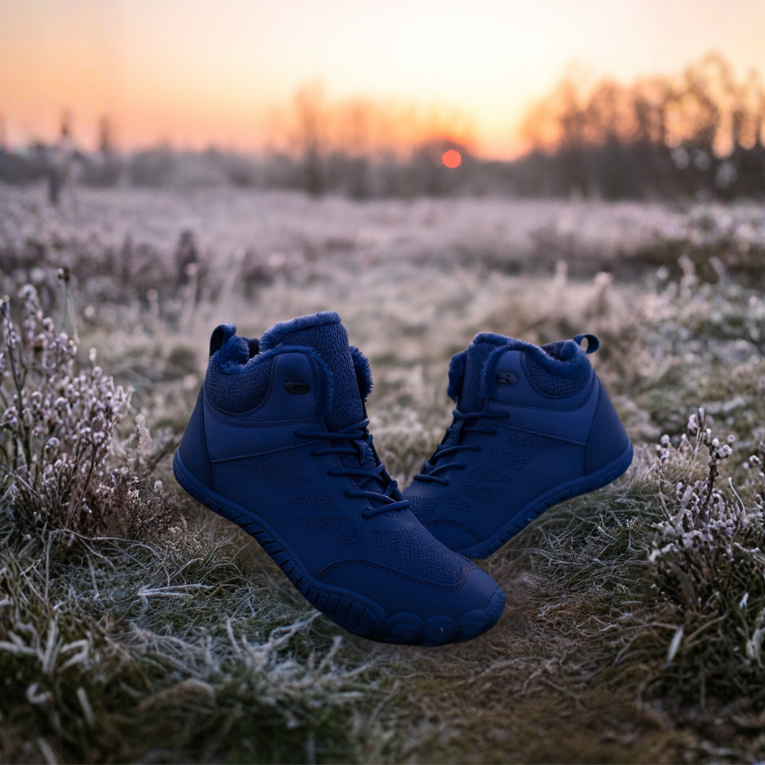 Forest Step - Frost Trail