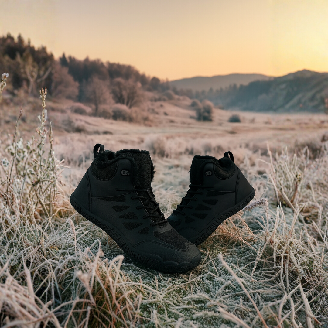 Forest Step - Frost Trail