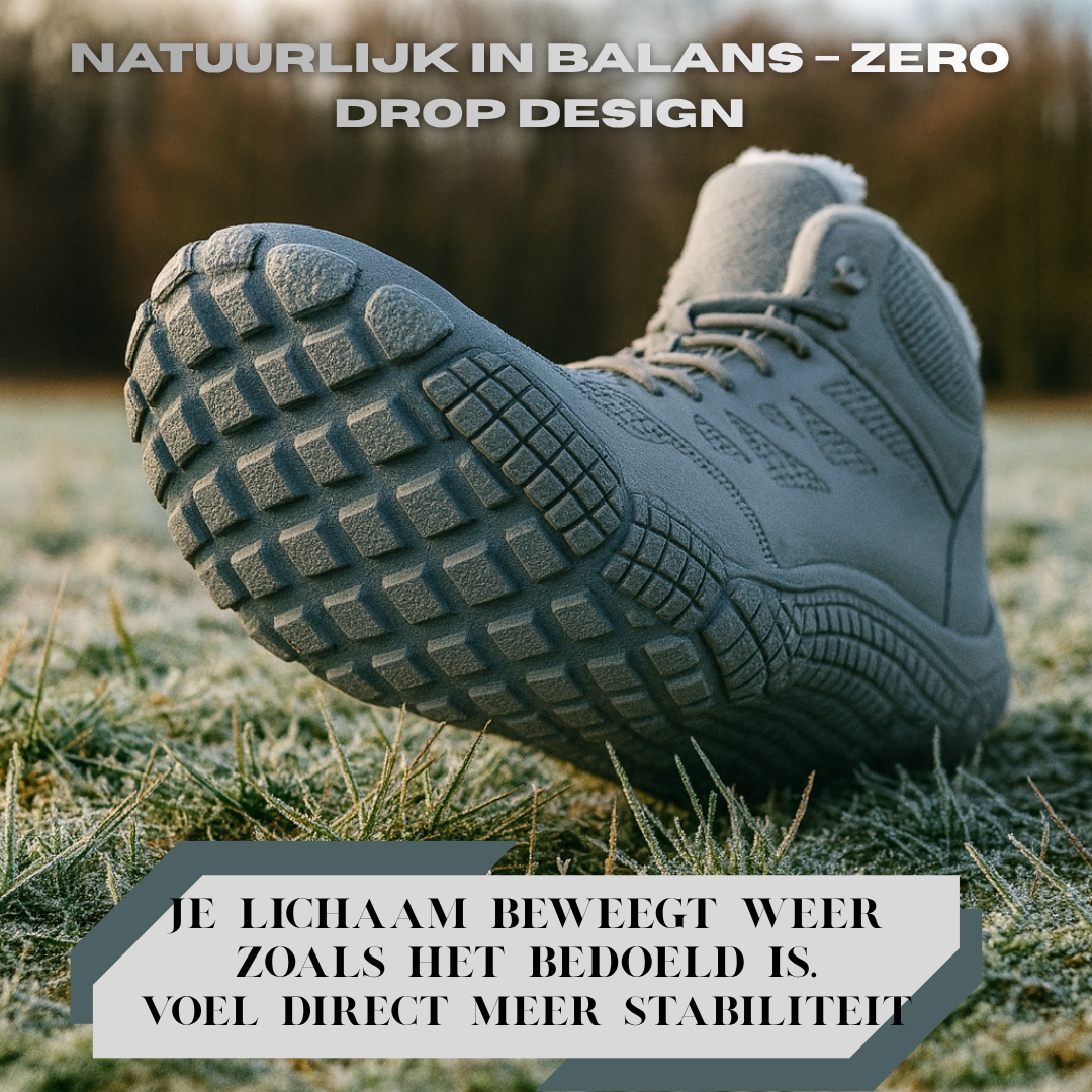 Forest Step - Frost Trail