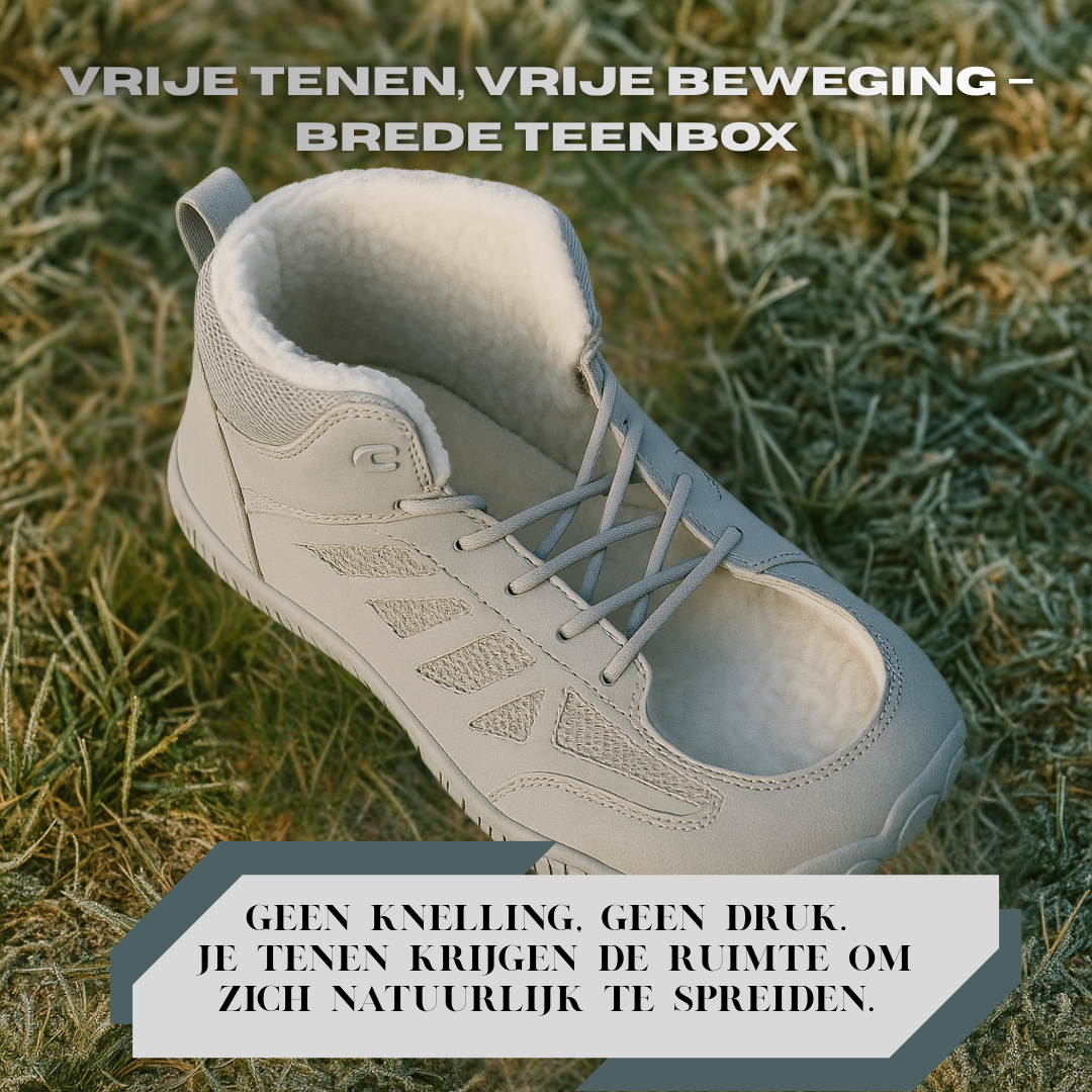 Forest Step - Frost Trail