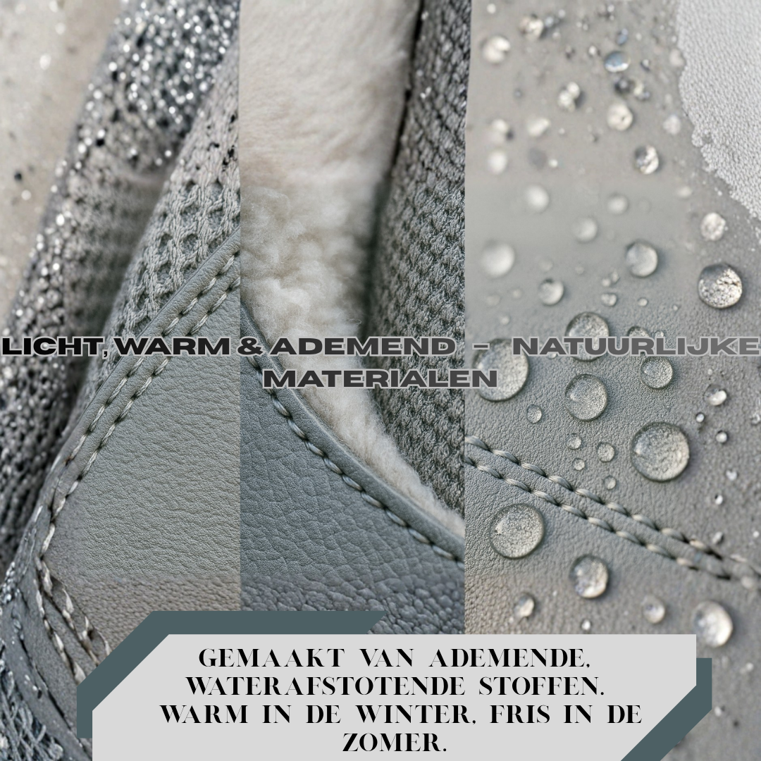 Forest Step - Frost Trail