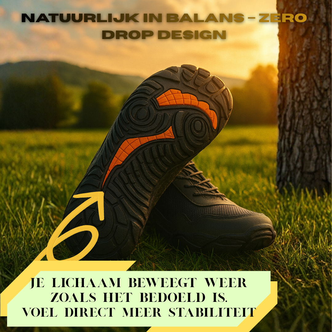 Forest step - Nordic Trail