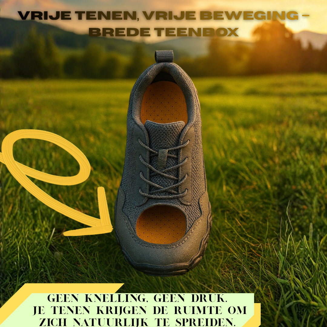 Forest step - Nordic Trail