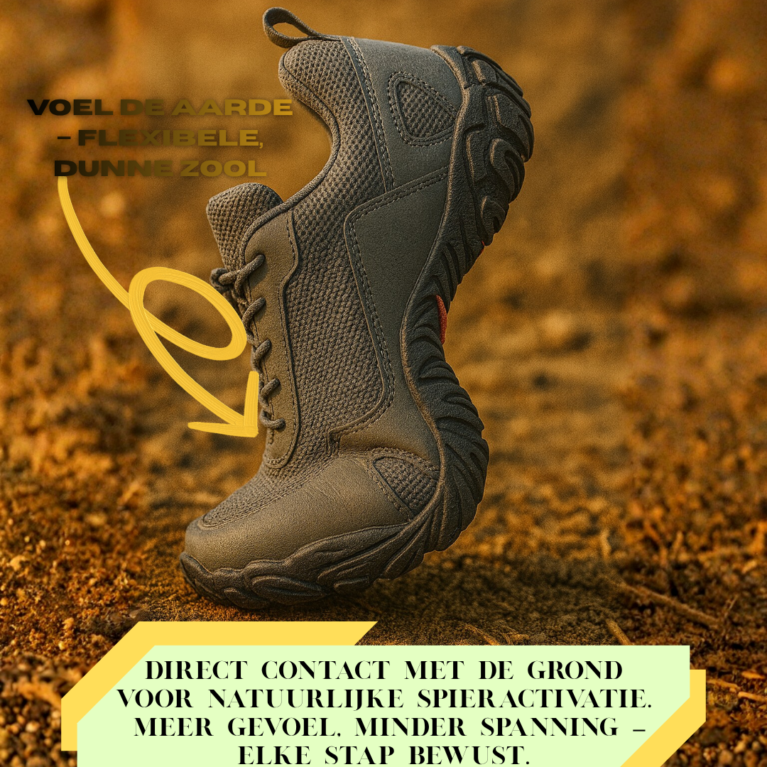 Forest step - Nordic Trail