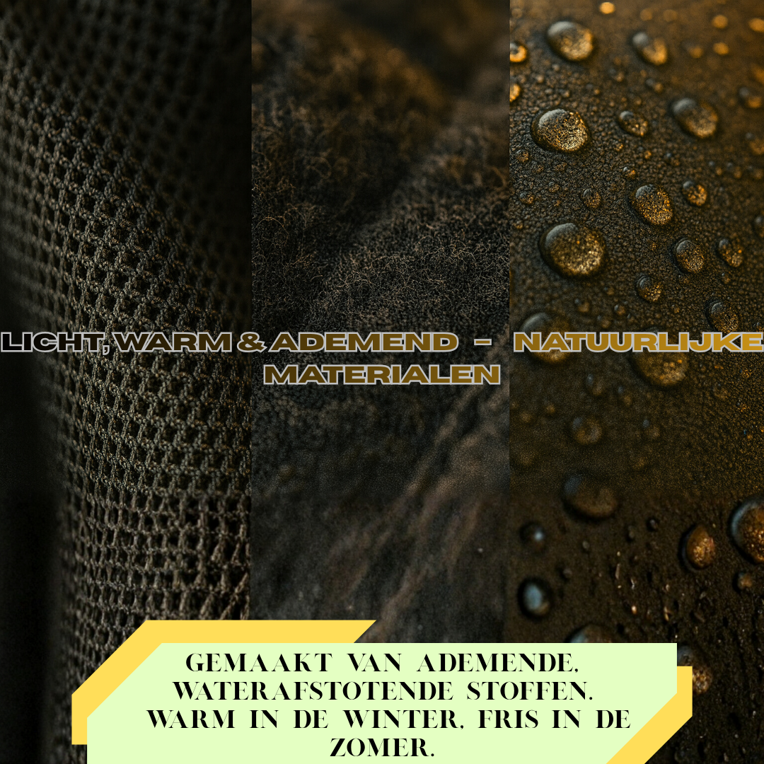 Forest step - Nordic Trail