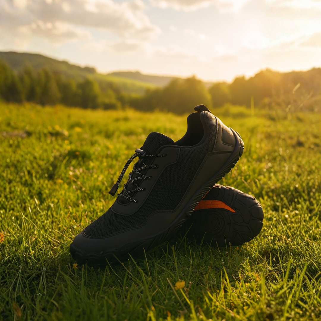 Forest step - Nordic Trail